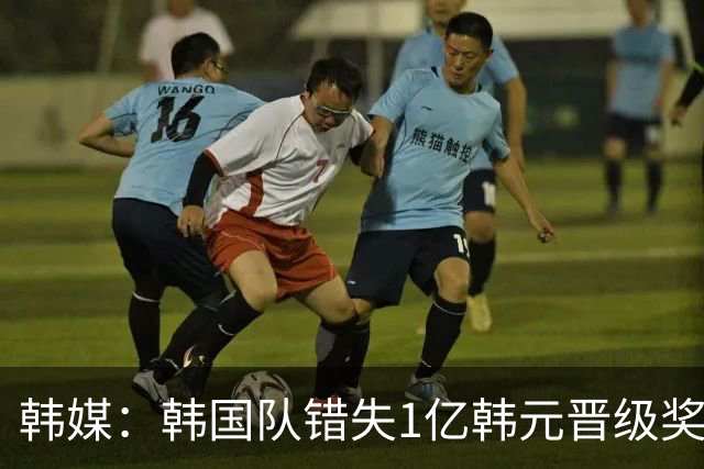 韩媒：韩国队错失1亿韩元晋级奖 但每人仍可拿8000万津贴